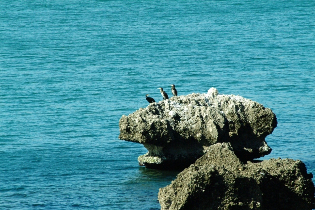 Porticciolo romano - Formia